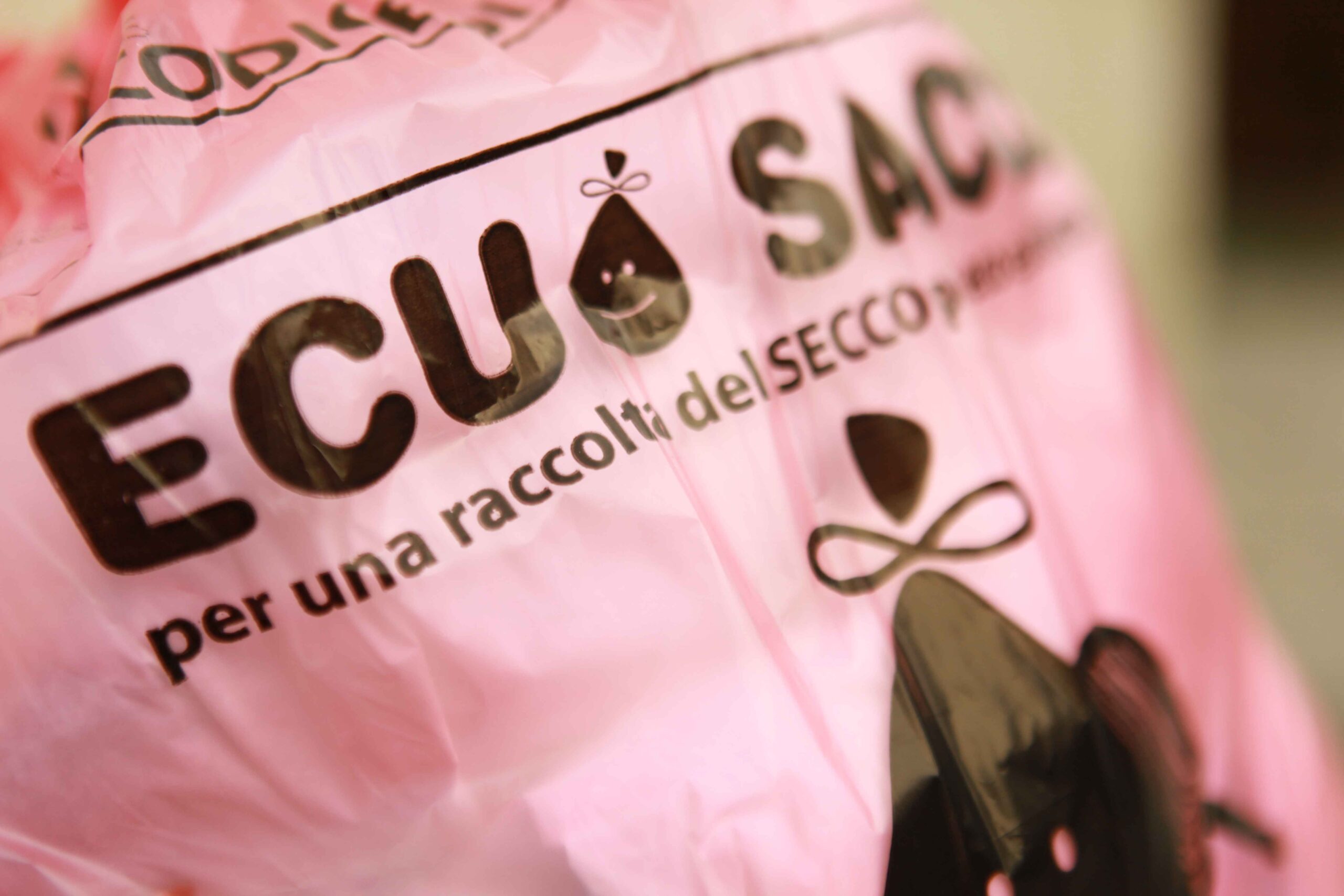 Immagine anteprima