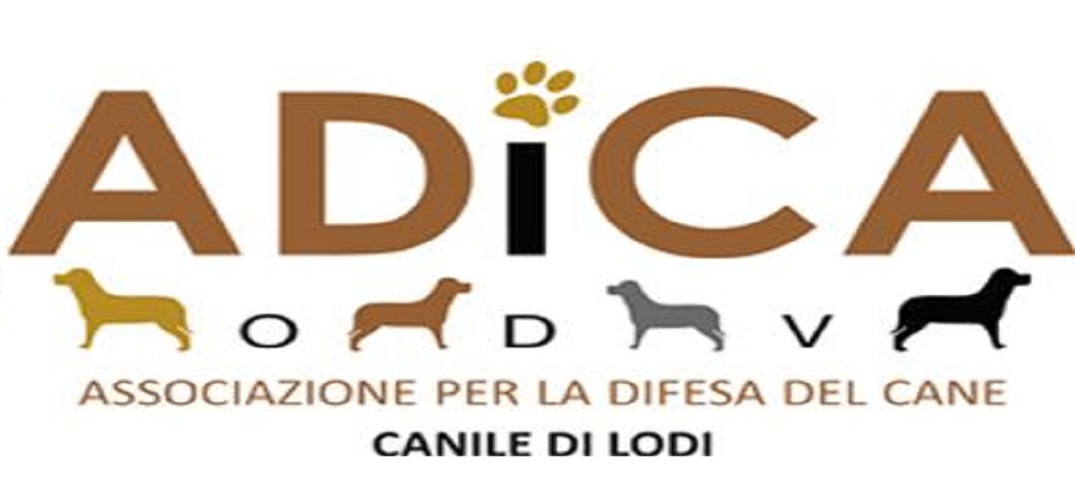 Immagine anteprima