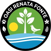 Immagine anteprima