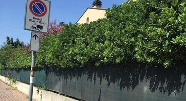 Immagine anteprima